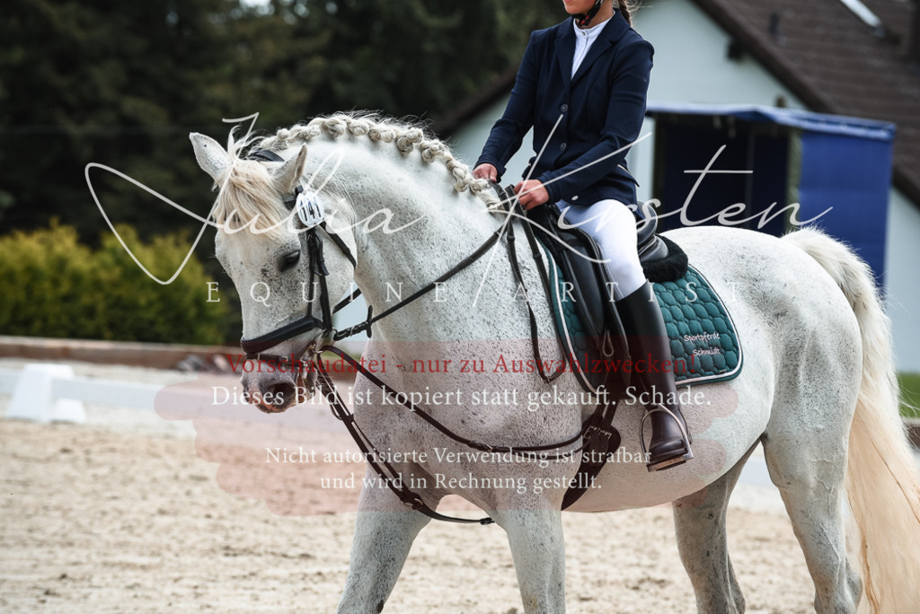 20230518_JK-Röhrsdorf-11-0377 | Pferde- und Turnierfotografie in Westsachsen. Pferdeportraits, Auftragszeichnungen und intuitive Kunst.