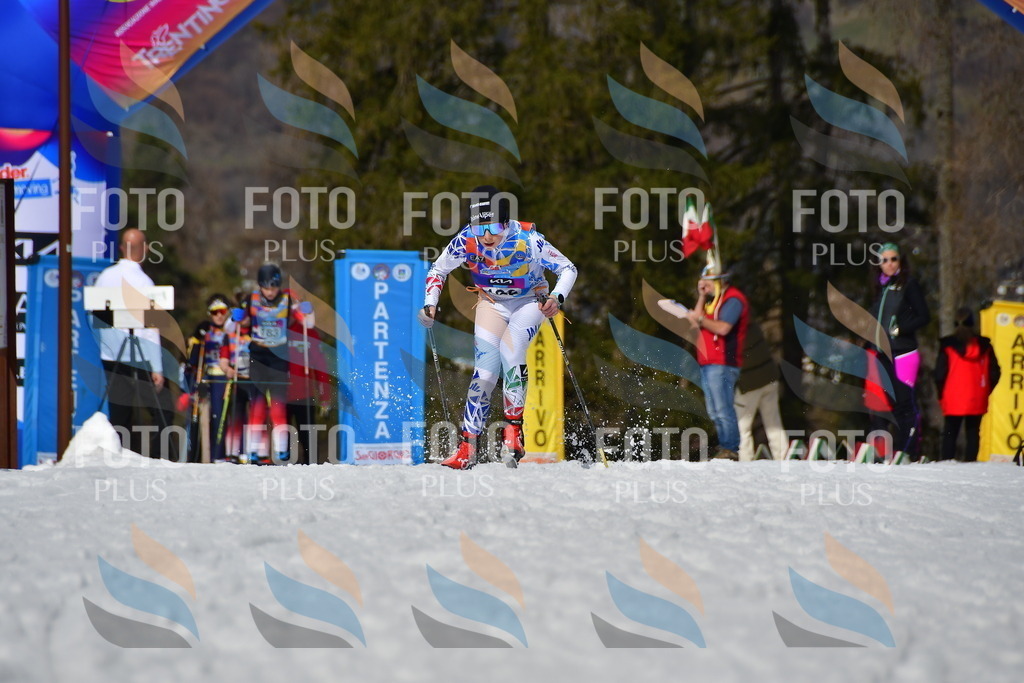 _DSC0787 | holidayphoto