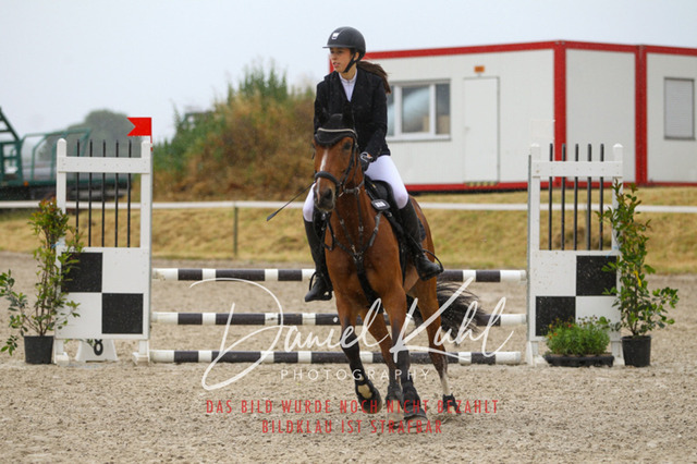 DKP47347 | Turniersportfotografie; Pferdefotografie; Dressurfotografie