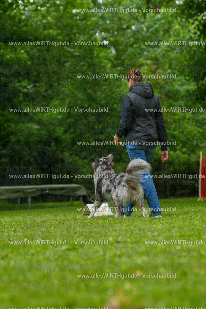 @allesWIRTHgut_Tierfotografie - www.allesWIRTHgut.de - 7R500258 | Professionelle Tierfotografie in Mönchengladbach von Daniel Wirth (allesWIRTHgut). Liebevolle & natürliche Bilder von Hunden & Katzen für unvergessliche Erinnerungen.