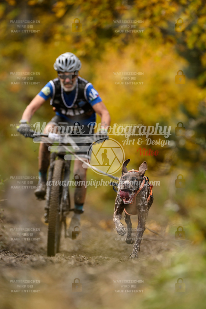 MompixPhotography_ICF_WC_2024_SA_Bike_-157 | PayLife
