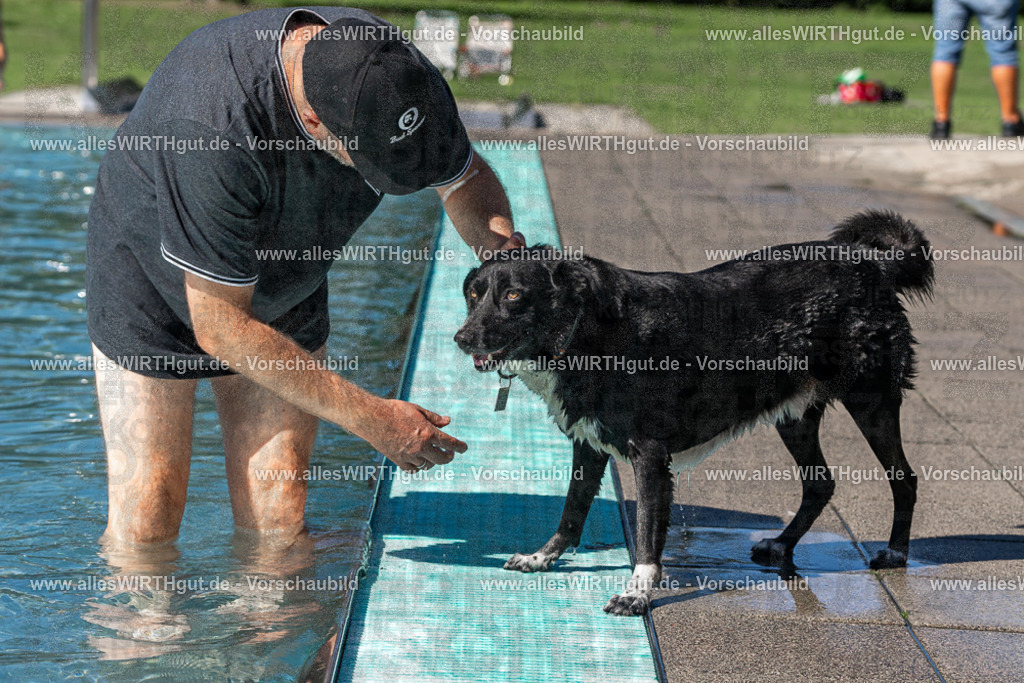 Hundeschwimmen_Volksbad_2026-allesWIRTHgut_Tierfotografie-2609061245-FAY06546 | Professionelle Tierfotografie in Mönchengladbach von Daniel Wirth (allesWIRTHgut). Liebevolle & natürliche Bilder von Hunden & Katzen für unvergessliche Erinnerungen.