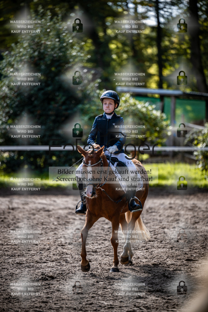 2026-10-Helle-20-4-0043 | Entdecke hochwertige Reitturnierfotos von Foto Oger. Professionell, emotional und authentisch – jetzt Lieblingsmomente im Shop bestellen.Deutschlandweite Turnierfotografie. - Realisiert mit Pictrs.com