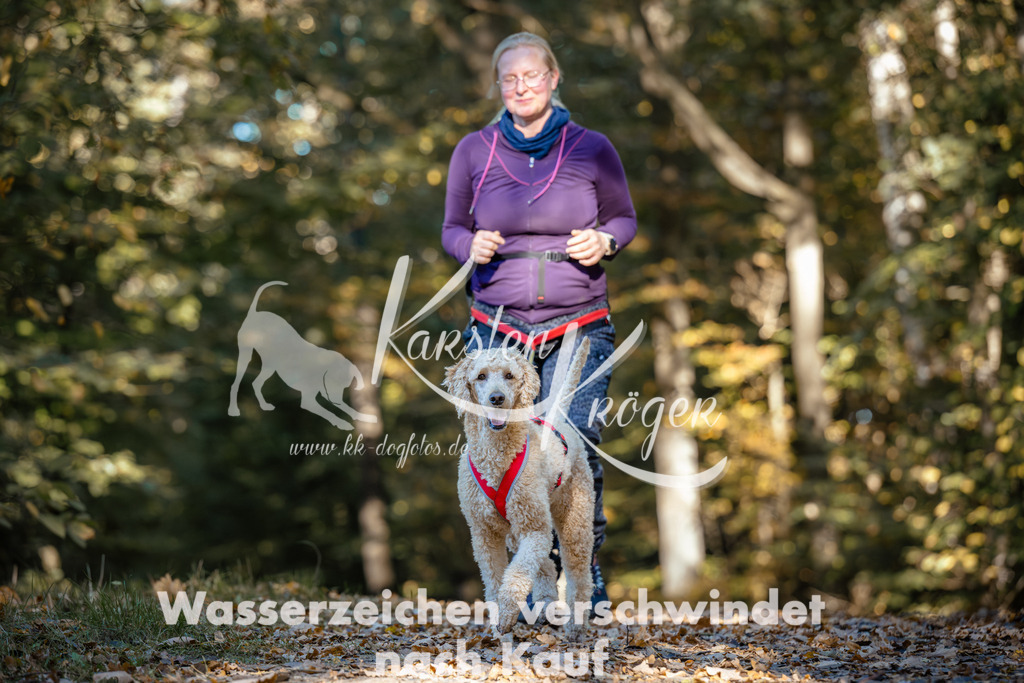 1045_ZZ90902 | kk-dogfotos