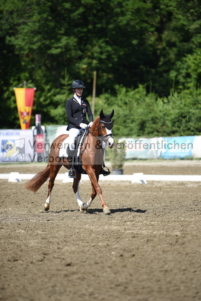 DSC_0175 | equestrian-live-com