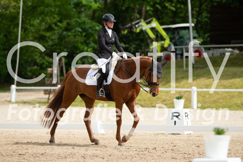 IMG_6870 | Creatify Fotografie