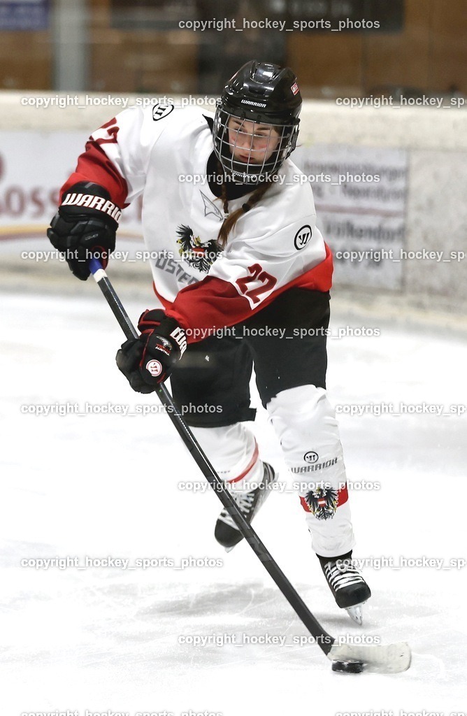 MOWE3587 | hockey sports photos, Pressefotos, Sportfotos, hockey247, win 2day icehockeyleague, Handball Austria, Floorball Austria, ÖVV, Kärntner Eishockeyverband, KEHV, KFV, Kärntner Fussballverband, Österreichischer Volleyballverband, Alps Hockey League, ÖFB, 