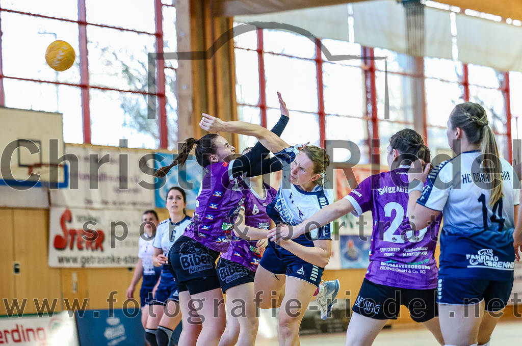 2023-12-16_018_SpVgg_Altenerding_gegen_HC_Donau-Paar_II | Erding, Deutschland, 16.12.2023:
Handball, Bezirksoberliga Frauen Altbayern 2023 / 2024, 10. Spieltag, SpVgg Altenerding gegen HC Donau/Paar II, Endergebnis: 22:22

Foto: Christian Riedel / fotografie-riedel.net