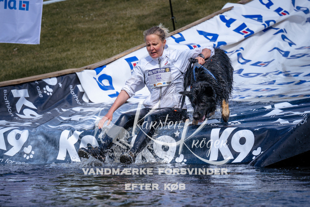 _ZZ929800935 | kk-dogfotos