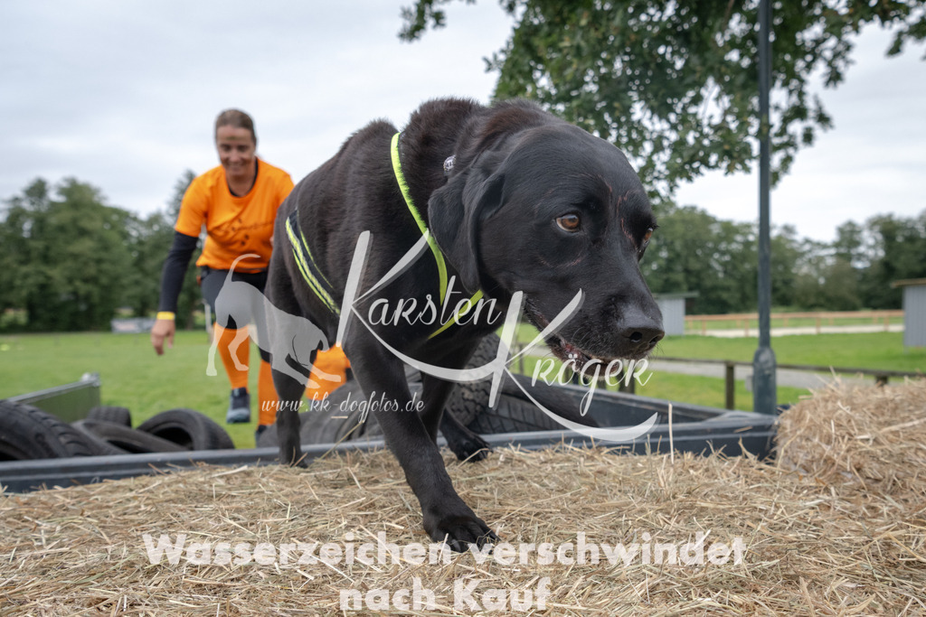 1207_ZZ94365 | kk-dogfotos