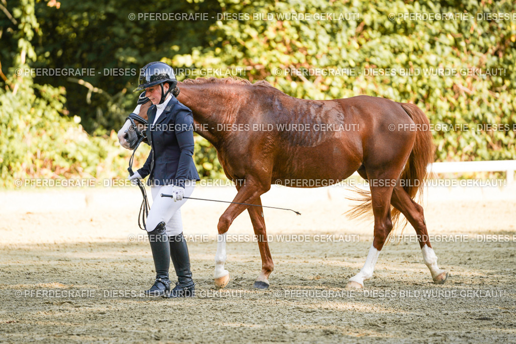 DSC06566 | Pferdegrafie