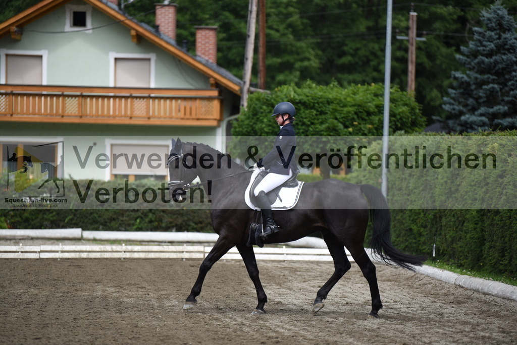 DSC_3985 | equestrian-live-com