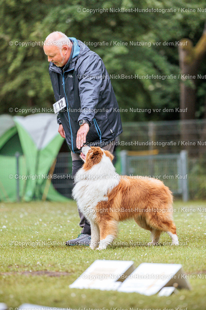 RO-Blumenthal-2026-Nickbest-Hundefotografie-3770 | Dein Hund! Dein Moment! Deine Erinnerungen! Hundefotografie in Bremen Blumenthal. Ich fange die besonderen Momente deines Vierbeiners ein – ob Indoor mit Blitzanlage oder in der freien Natur. Sicher dir dein Moment und dein Termin für eure Erinnerungen.