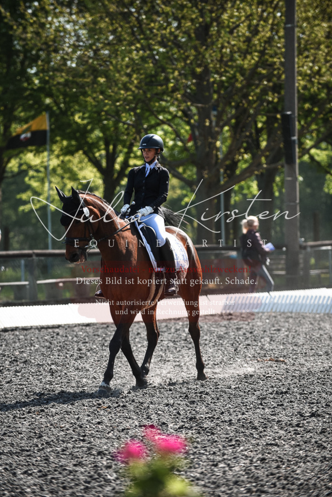 DSC_8912 | Pferde- und Turnierfotografie in Westsachsen. Pferdeportraits, Auftragszeichnungen und intuitive Kunst.