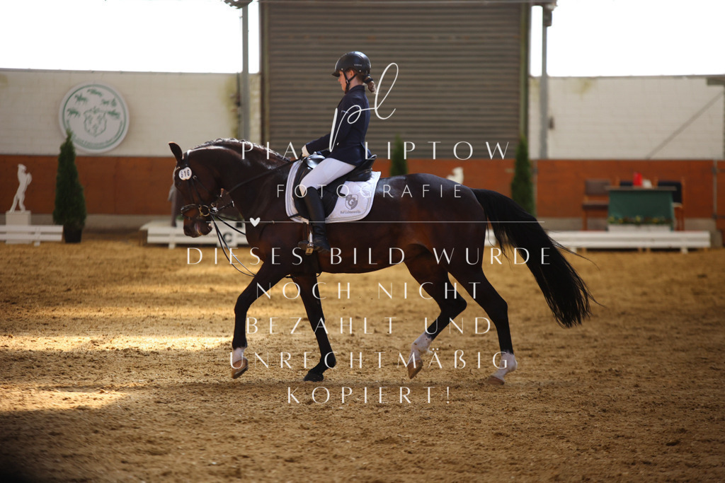 IMGT0728 | pl-fotografie