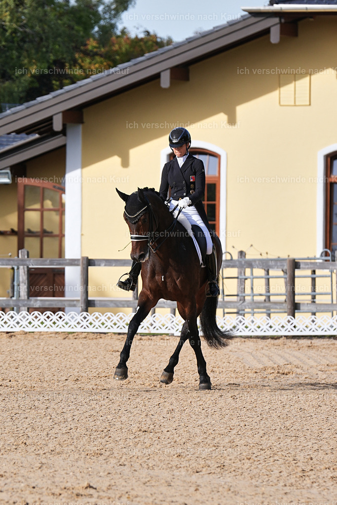 13-110-S___ -Marixx-7041 | working equitationturnier fotograf videograf stoibphotography marixx film working equitation deutschland reitsport turnierfotografie eventfotografie equestrian events