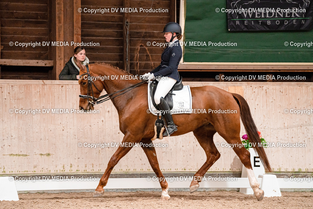 Dressur Tag 3-398 | dv-media-shop - Realisiert mit Pictrs.com