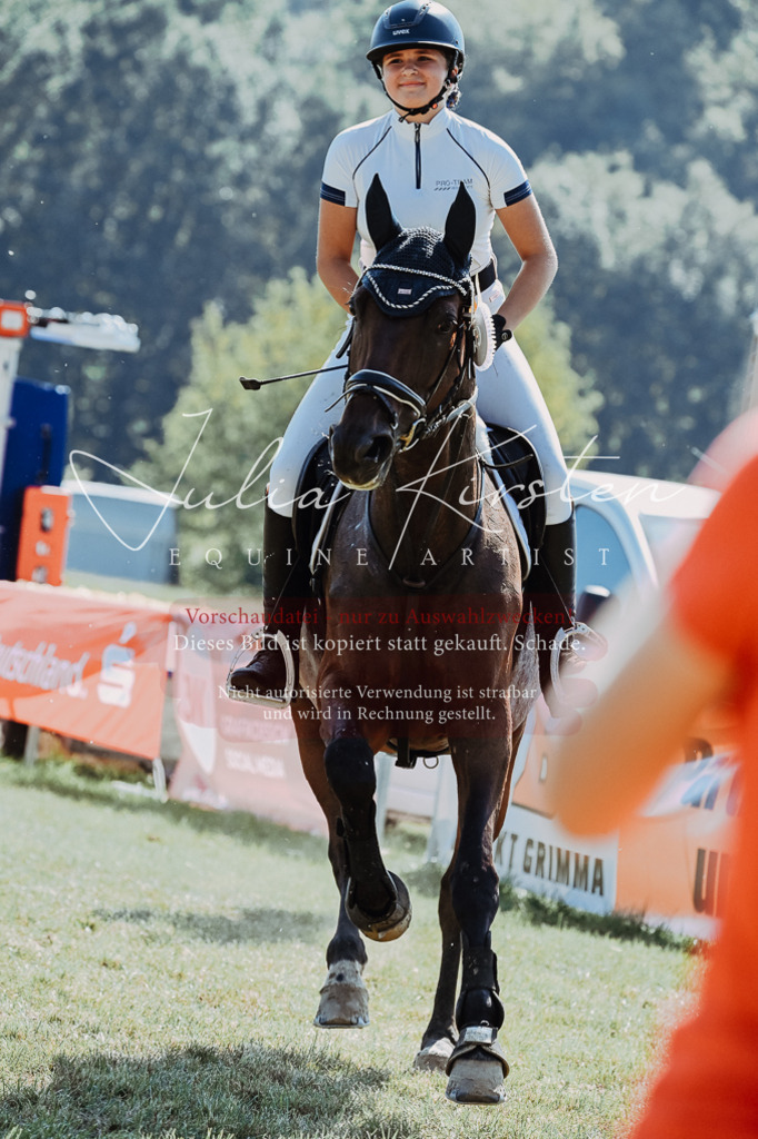 DSC_6272 | Pferde- und Turnierfotografie in Westsachsen. Pferdeportraits, Auftragszeichnungen und intuitive Kunst.