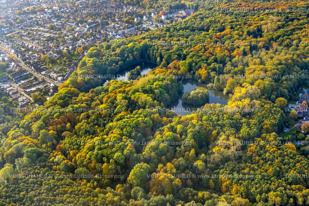 Bottrop221006031 | Luftbild, Stadtteich im Herbstwald, Stadtwald, Bottrop, Ruhrgebiet, Nordrhein-Westfalen, Deutschland