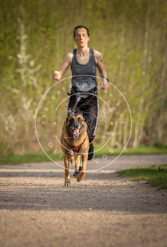 Pfotenfotografie_DV3A4562 | Hundefotografie, Tierfotograf, Pfotenfotografie, Fotoshooting Hund, Hunde Portrait, Hundesport, Hundeportraits, Heideshooting, Hunde, Sportfotograf, Hundefotograf, Turnierhundsport, THS,  - Realisiert mit Pictrs.com