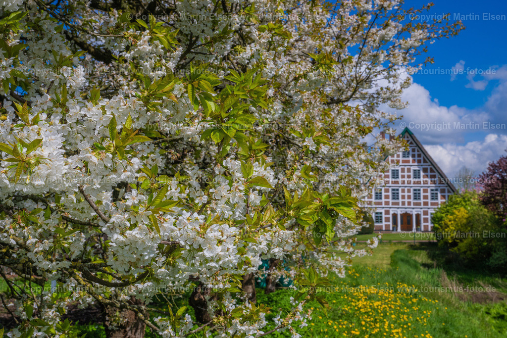 Jork Obst Blüte Fachwerk_ELS_2792170424 Kopie | Fotos aus den Touristenorten aus Norddeutschland. - Realisiert mit Pictrs.com