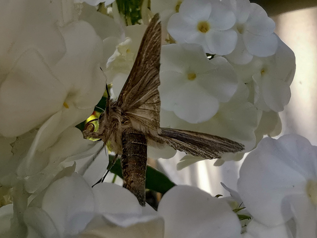 PSX_20230818_232336 | mtkfoto_ - Realisiert mit Pictrs.com