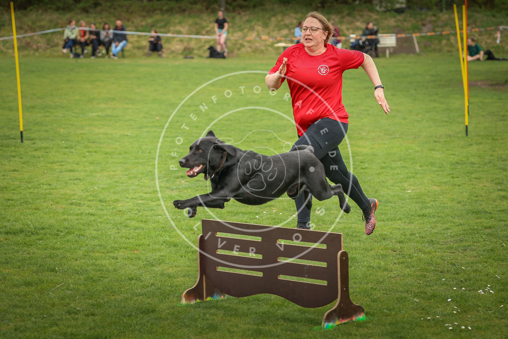 Pfotenfotografie_0L8A1080 | Hundefotografie, Tierfotograf, Pfotenfotografie, Fotoshooting Hund, Hunde Portrait, Hundesport, Hundeportraits, Heideshooting, Hunde, Sportfotograf, Hundefotograf, Turnierhundsport, THS,  - Realisiert mit Pictrs.com