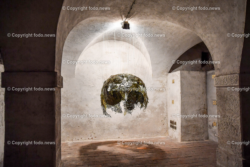 Ursulinenkirche_ Kunstausstellung_ 21.02.2023-6 | 21.02.2023, Linz, AUT, Ursulinenkirche, Memento Mori - Kunst in der Fastenzeit, im Bild Ruth Groesswang - Symbiotic Matter