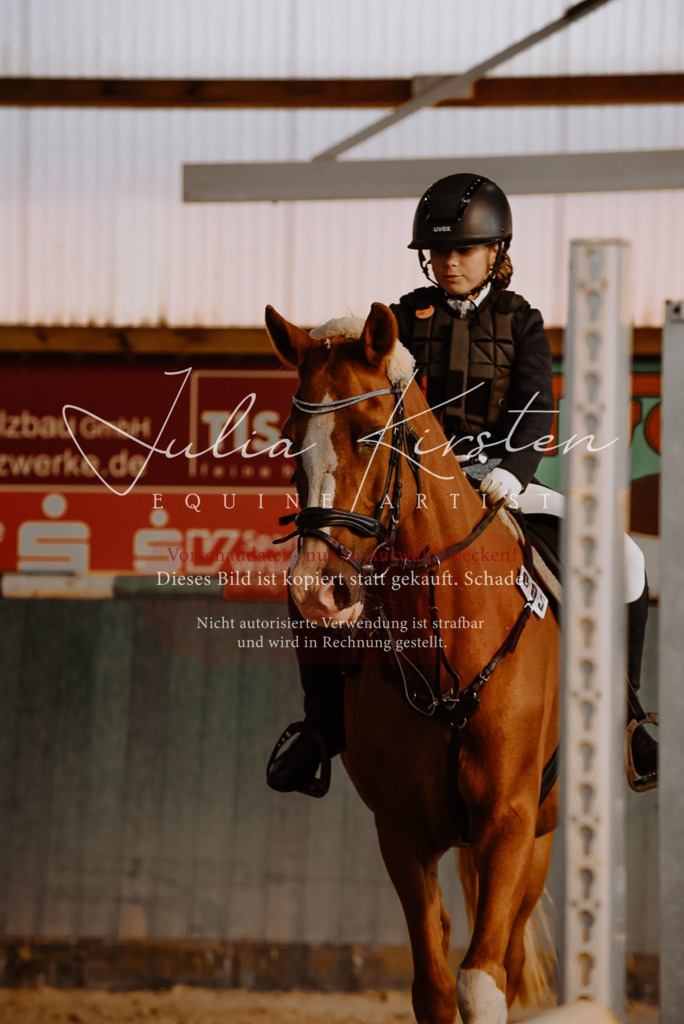 DSC_7442 | Pferde- und Turnierfotografie in Westsachsen. Pferdeportraits, Auftragszeichnungen und intuitive Kunst.