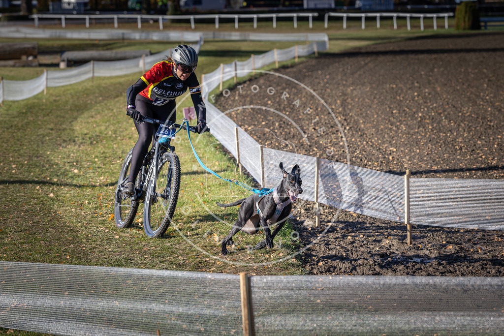 CaniXpix_DV3A4848 | Hundefotografie, Tierfotograf, Pfotenfotografie, Fotoshooting Hund, Hunde Portrait, Hundesport, Hundeportraits, Heideshooting, Hunde, Sportfotograf, Hundefotograf, Turnierhundsport, THS,  - Realisiert mit Pictrs.com
