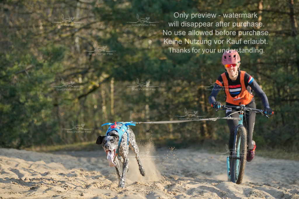 So_Scooter-16 | stephaniefillaphotographie - Realisiert mit Pictrs.com