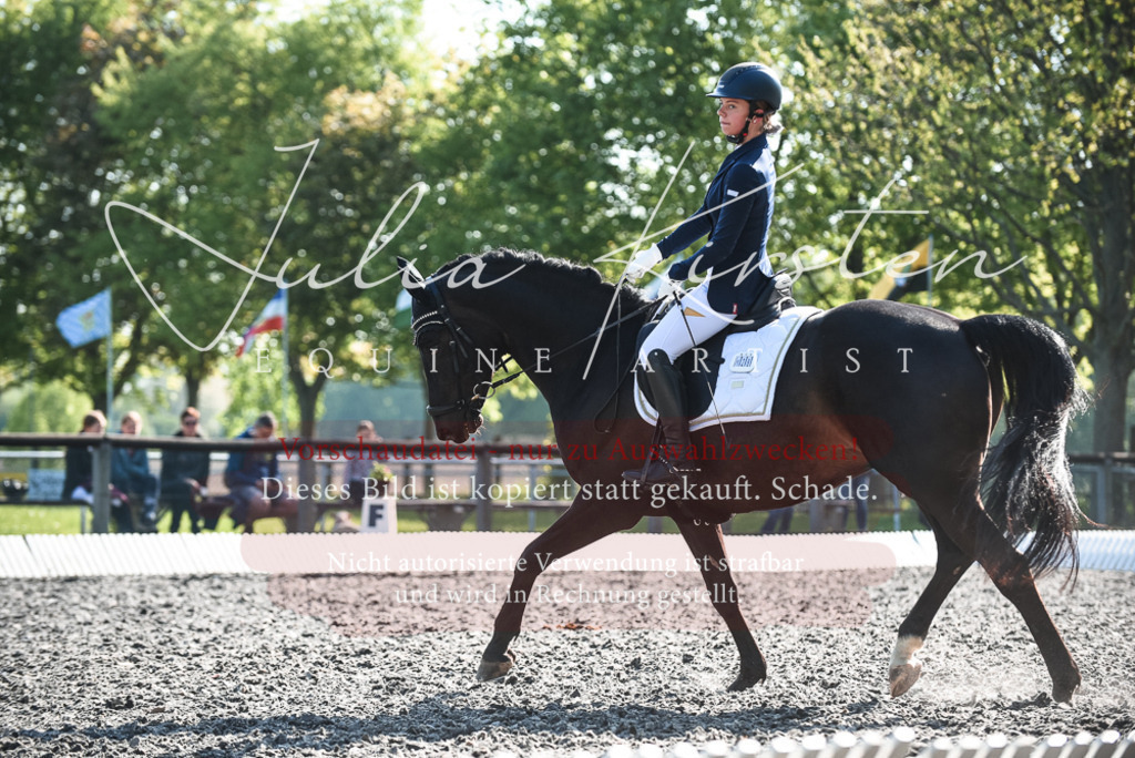DSC_8582 | Pferde- und Turnierfotografie in Westsachsen. Pferdeportraits, Auftragszeichnungen und intuitive Kunst.