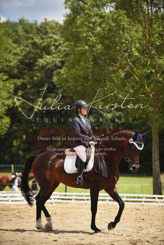DSC_1492 | Pferde- und Turnierfotografie in Westsachsen. Pferdeportraits, Auftragszeichnungen und intuitive Kunst.