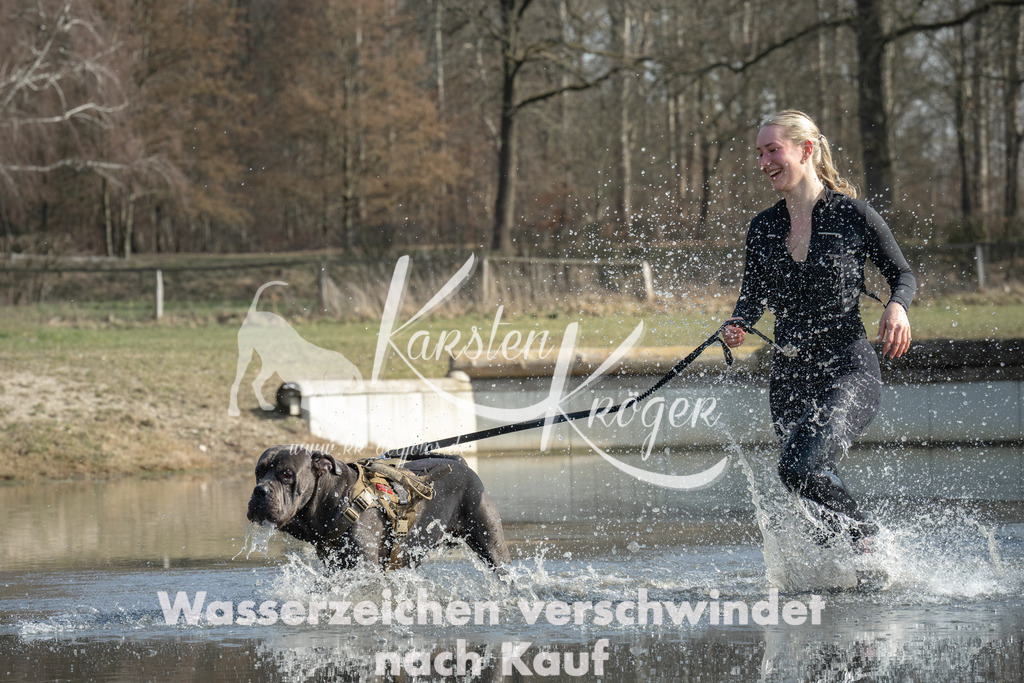 1309_ZZ94911 | kk-dogfotos