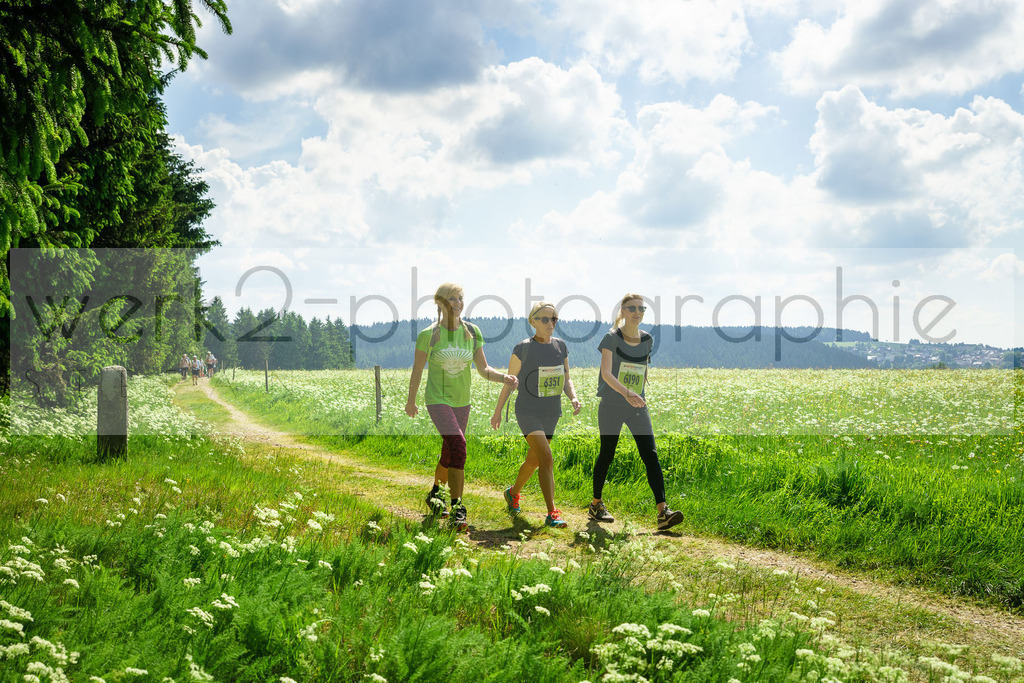 Rennsteiglauf 2018 | Neuhaus/Rwg. - Schmiedefeld am 26. Mai 2018