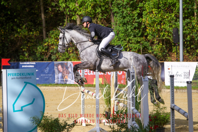 DKP42391 | Turniersportfotografie; Pferdefotografie; Dressurfotografie