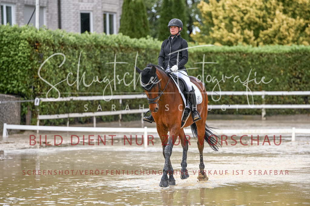 Schugtsche-Aluta25-54.Dressurprf.L1Trense-135 | Schugtsche Fotografie - Realisiert mit Pictrs.com