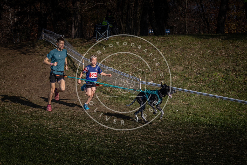CaniXpix_0L8A8290 | Hundefotografie, Tierfotograf, Pfotenfotografie, Fotoshooting Hund, Hunde Portrait, Hundesport, Hundeportraits, Heideshooting, Hunde, Sportfotograf, Hundefotograf, Turnierhundsport, THS,  - Realisiert mit Pictrs.com
