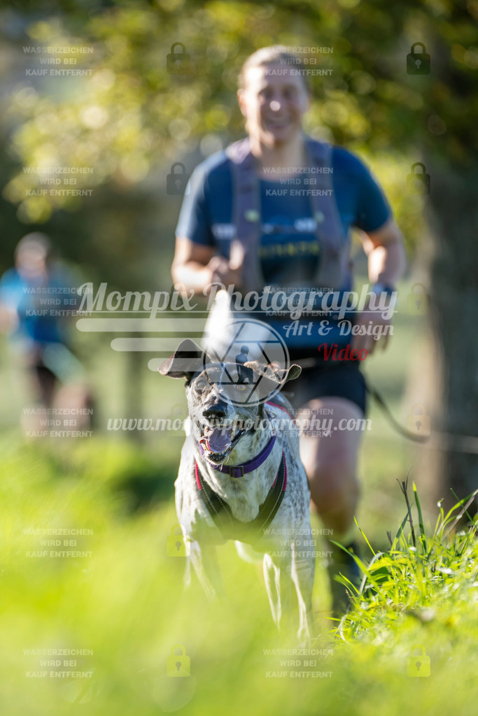 MompixPhotography_20TSB_E3_Run-121 | PayLife