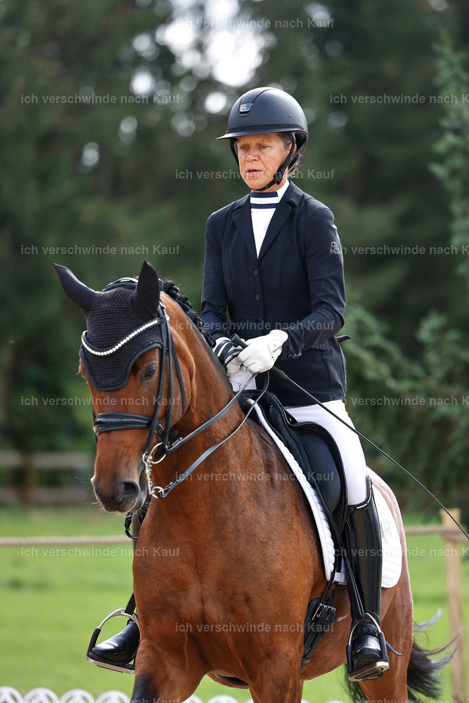 05-146-DRESSUR M_  -StoibPH-4943 | working equitationturnier fotograf videograf stoibphotography marixx film working equitation deutschland reitsport turnierfotografie eventfotografie equestrian events