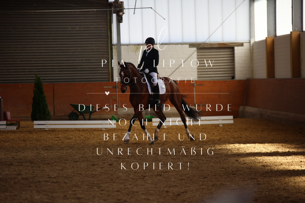 IMGT8442 | pl-fotografie