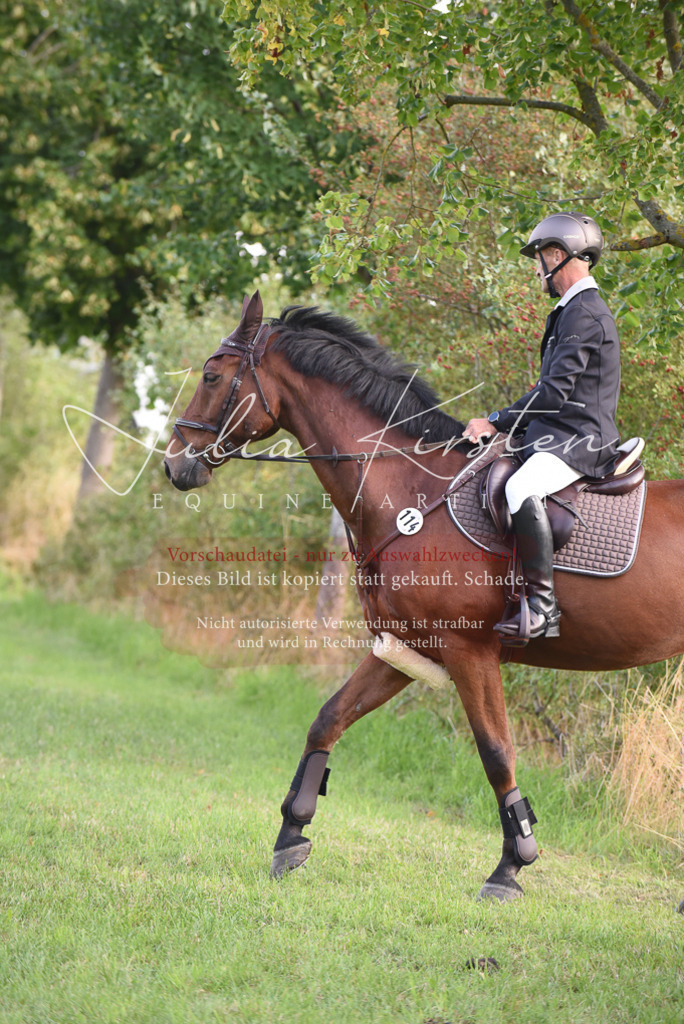 DSC_8580 | Pferde- und Turnierfotografie in Westsachsen. Pferdeportraits, Auftragszeichnungen und intuitive Kunst.