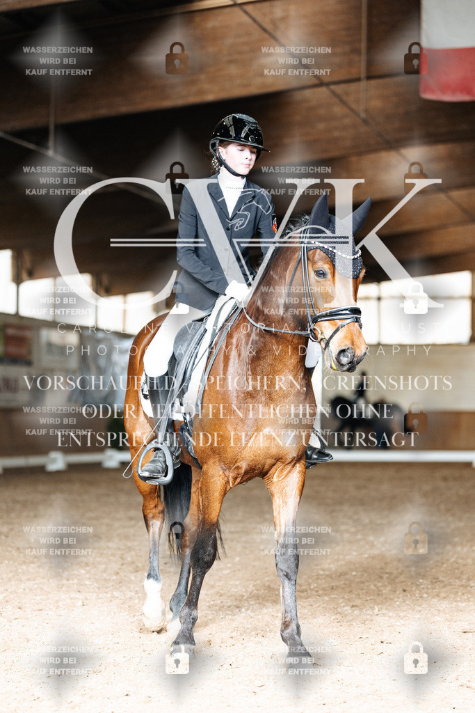CK902034 | Turnierfotografie Pferdefotografie Trier Rheinland-Pfalz Pferdesport Reitsport Tierfotografie Sportfotografie Pferdevideo Pferdevideografie Equestrianvideography equestrianphotography  - Realisiert mit Pictrs.com