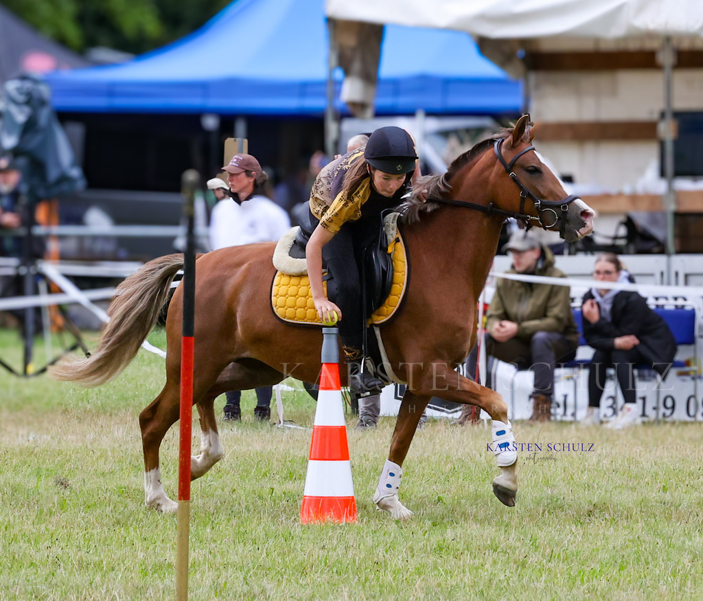 1B3A1616 | Reitsport Reiten