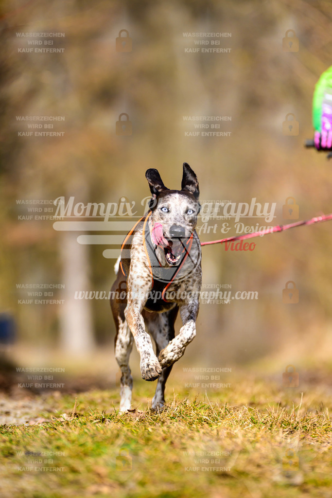 MompixPhotography_Schwabentrail2025_SO_DS1-104 | PayLife
