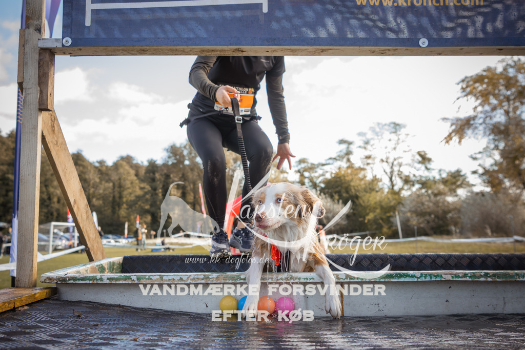 1308_ZZ99349-2 | kk-dogfotos