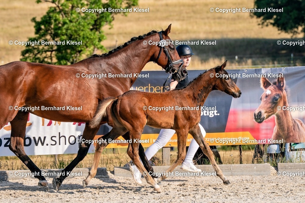 2A905962 | foto-team-bernhard - Realisiert mit Pictrs.com