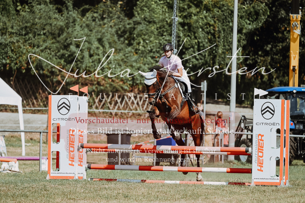 DSC_9740 | Pferde- und Turnierfotografie in Westsachsen. Pferdeportraits, Auftragszeichnungen und intuitive Kunst.