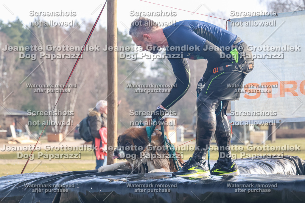 Dog Paparazzi - Strongdog North Mrz26-90 | Dog Paparazzi Jeanette Grottendiek Fotografie & Videografie - Realisiert mit Pictrs.com