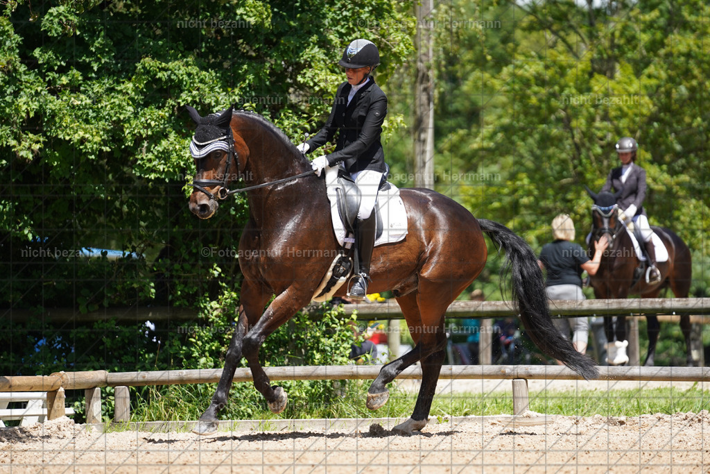 20240705-FAH03446 | Turnierbilder von Grafing, Reitsportbilder, Turnierfotos, Turnierfotografen Bayern, Pferdefotograf, Fotoagentur Herrmann